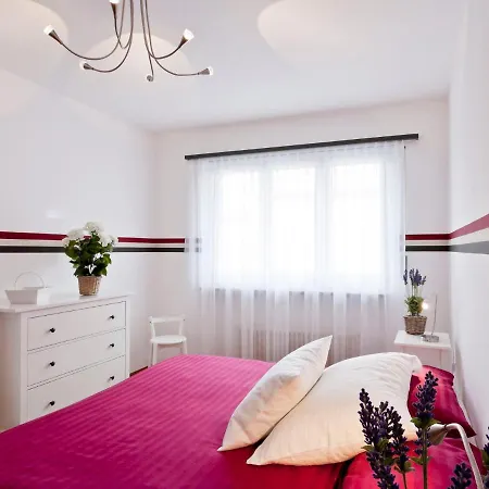 Junior Suite-8 By Interhome Appartement Ascona